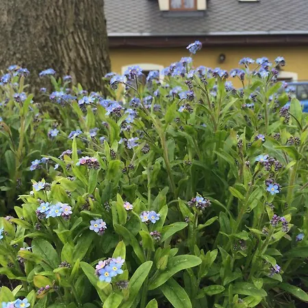 Na Cervenem Potoce Guest house Kraliky
